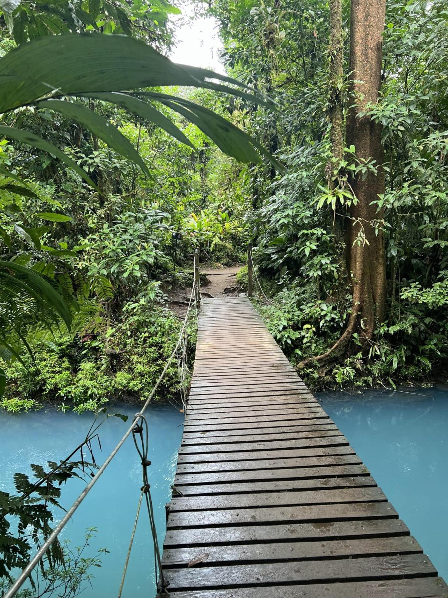 Kakao Lodge & Garden Rio Celeste ビハグア エクステリア 写真
